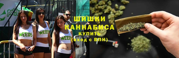 ГАЛЛЮЦИНОГЕННЫЕ ГРИБЫ Волосово