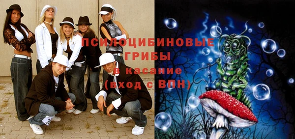 стафф Володарск