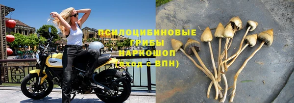 ГАЛЛЮЦИНОГЕННЫЕ ГРИБЫ Волосово