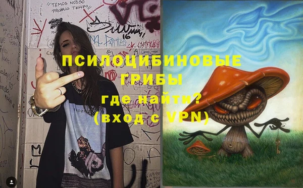 стафф Володарск