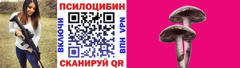 наркота Шахты ссылка на мегу Псилоцибиновые грибы мицелий